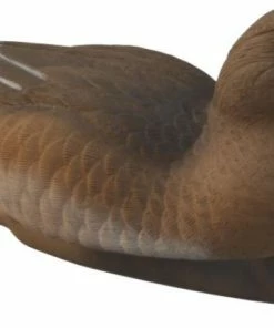 Flambeau Eurasian Wigeon Duck Decoy Set Of 6