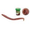 Berkley Gulp Angleworm Bait