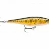 Rapala BX Minnow 10cm Trout/Salmon Lures