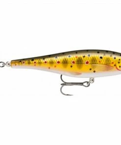 Rapala BX Minnow 10cm Trout/Salmon Lures