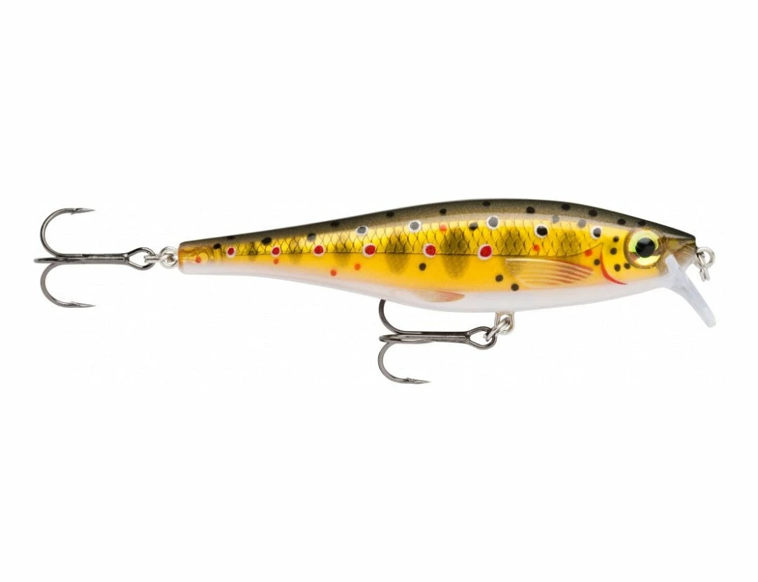 Rapala BX Minnow 10cm Trout/Salmon Lures 1 Rapala BX Minnow 10cm Trout/Salmon Lures