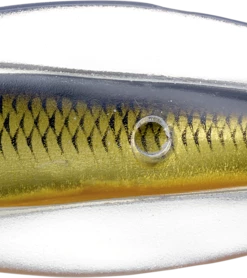 Live Target LiveTarget Erratic Shiner Casting Spoon