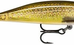 Trout/Salmon Lures Rapala X-Rap Countdown 5cm