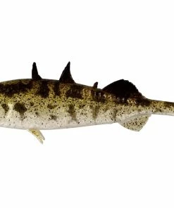 Westin Stanley The Stickleback