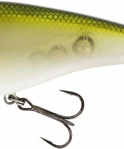 Westin Swim 15cm Sinking Pike/Predator