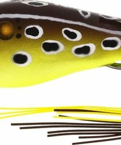 Westin Swim Hollowbody