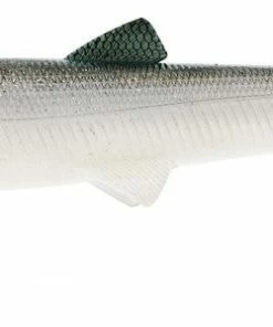 Westin Bullteez 18cm Lures Soft