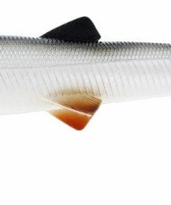 Westin Bullteez 24cm Lures Soft