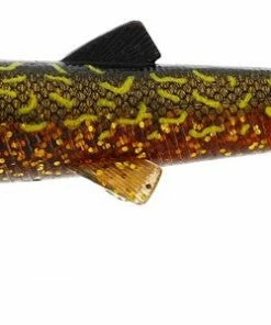 Westin Bullteez 24cm Lures Soft