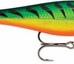 Rapala BX Minnow 10cm Trout/Salmon Lures 12 Rapala BX Minnow 10cm Trout/Salmon Lures