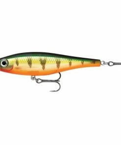 Rapala BX Minnow 10cm Trout/Salmon Lures 10 Rapala BX Minnow 10cm Trout/Salmon Lures