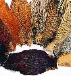 Veniard Indian Cock Cape Game