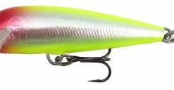 Trout/Salmon Lures Rapala Countdown 9cm