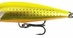 Trout/Salmon Lures Rapala Countdown 9cm