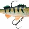 Storm Wildeye Live Orange Belly Perch 6cm