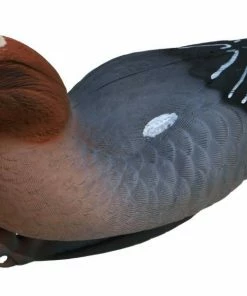 Flambeau Eurasian Wigeon Duck Decoy Set Of 6
