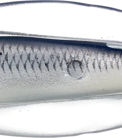 Live Target LiveTarget Erratic Shiner Casting Spoon