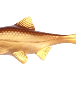 OLA Lures Hooligan Roach 15cm