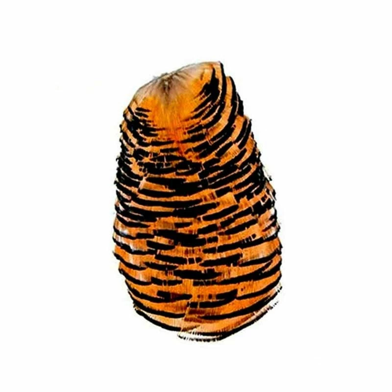 Veniard Golden Pheasant Tippet Collar 1st Quality 1 Veniard Golden Pheasant Tippet Collar 1st Quality