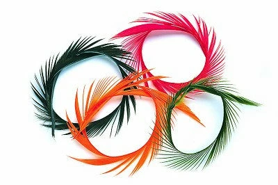 Veniard Goose Biots 1 Veniard Goose Biots