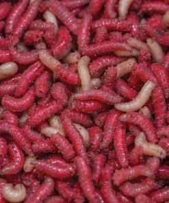 Fishing Tackle Ireland Maggots Mixed Pint(Collection Only)