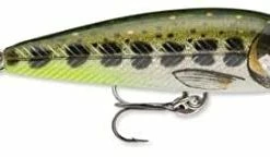 Trout/Salmon Lures Rapala Countdown 5cm