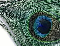 Veniard Peacock Eye Top Game