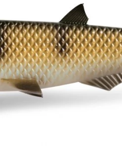 Quantum Yolo Pike Shad 22cm