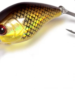 Magic Trout Hustle And Bustle River