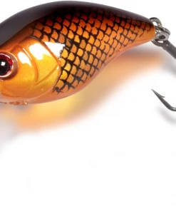 Magic Trout Hustle And Bustle River 11 Magic Trout Hustle And Bustle River