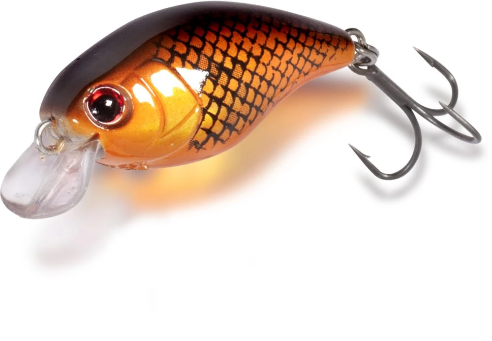 Magic Trout Hustle And Bustle River 5 Magic Trout Hustle And Bustle River