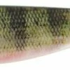 Pike/Predator Jaxon Intens Max Softbait 17cm Pack Of 3
