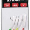 Leeda Sea Bright Rig
