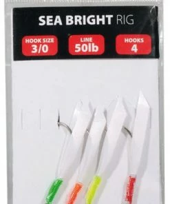 Leeda Sea Bright Rig