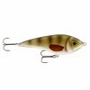 Westin Swim 15cm Sinking Pike/Predator